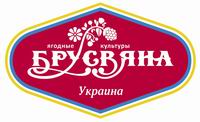 logo_Brusvyana1